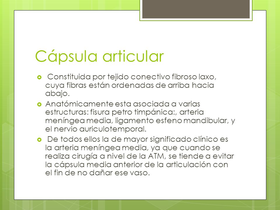 Cápsula articular Constituida por tejido conectivo fibroso laxo, cuya fibras están ordenadas de arriba hacia abajo.