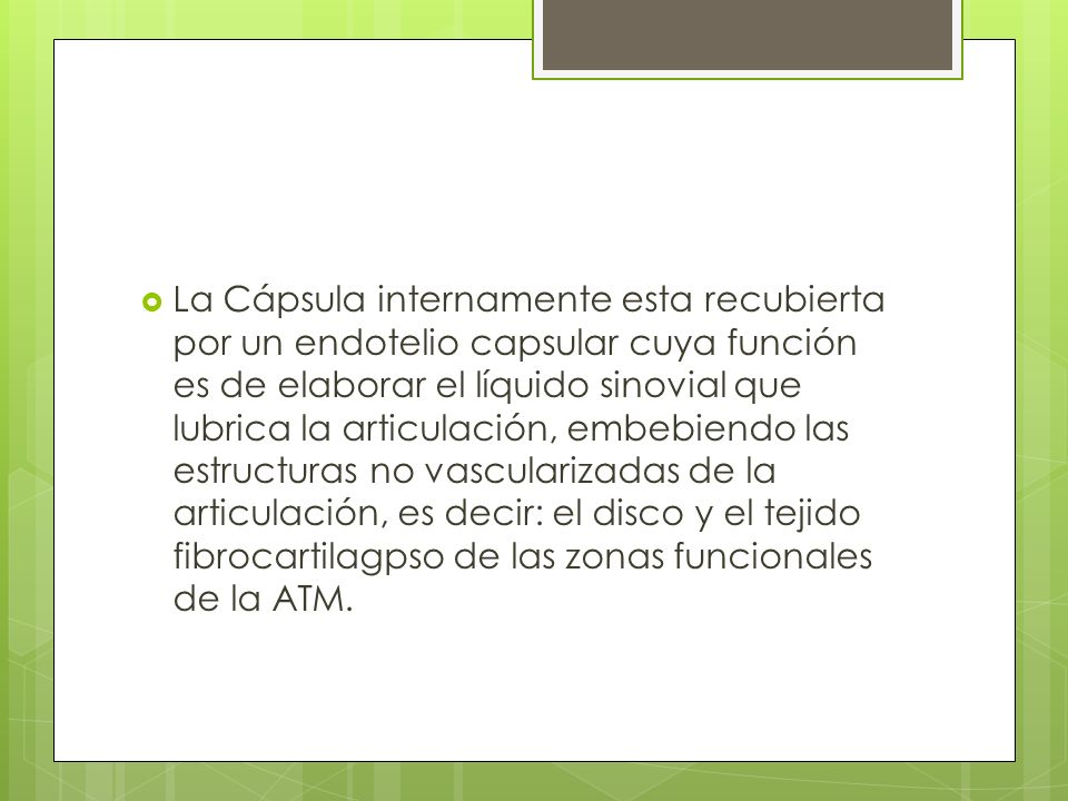 La Cápsula internamente esta recubierta por un endotelio capsular cuya función es de elaborar el líquido sinovial que lubrica la articulación, embebiendo las estructuras no vascularizadas de la articulación, es decir: el disco y el tejido fibrocartilagpso de las zonas funcionales de la ATM.