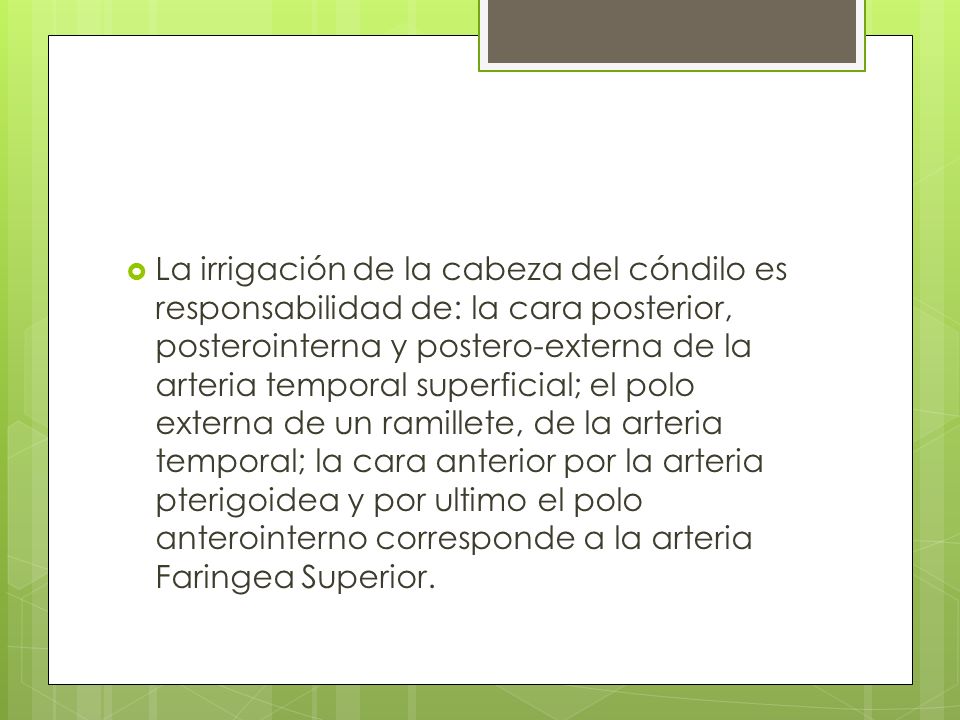 La irrigación de la cabeza del cóndilo es responsabilidad de: la cara posterior, posterointerna y postero-externa de la arteria temporal superficial; el polo externa de un ramillete, de la arteria temporal; la cara anterior por la arteria pterigoidea y por ultimo el polo anterointerno corresponde a la arteria Faringea Superior.