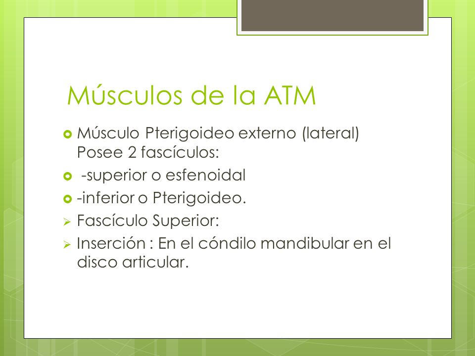 Músculos de la ATM Músculo Pterigoideo externo (lateral) Posee 2 fascículos: -superior o esfenoidal.