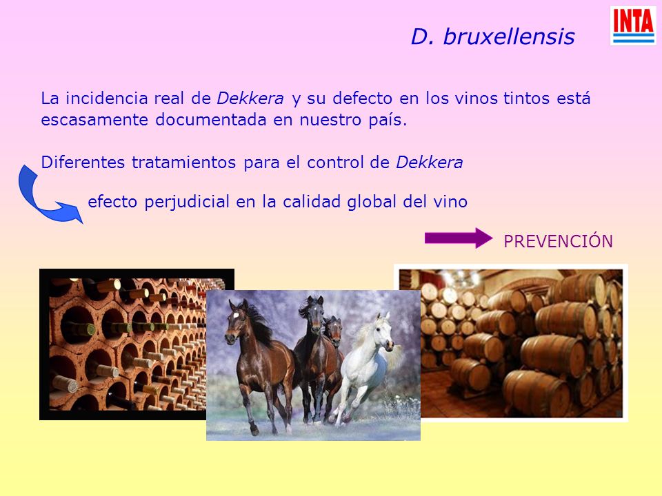 D. bruxellensis La incidencia real de Dekkera y su defecto en los vinos tintos está escasamente documentada en nuestro país.