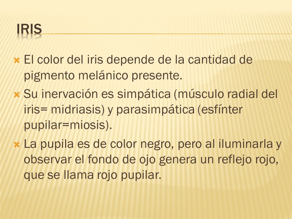 IRIS El color del iris depende de la cantidad de pigmento melánico presente.