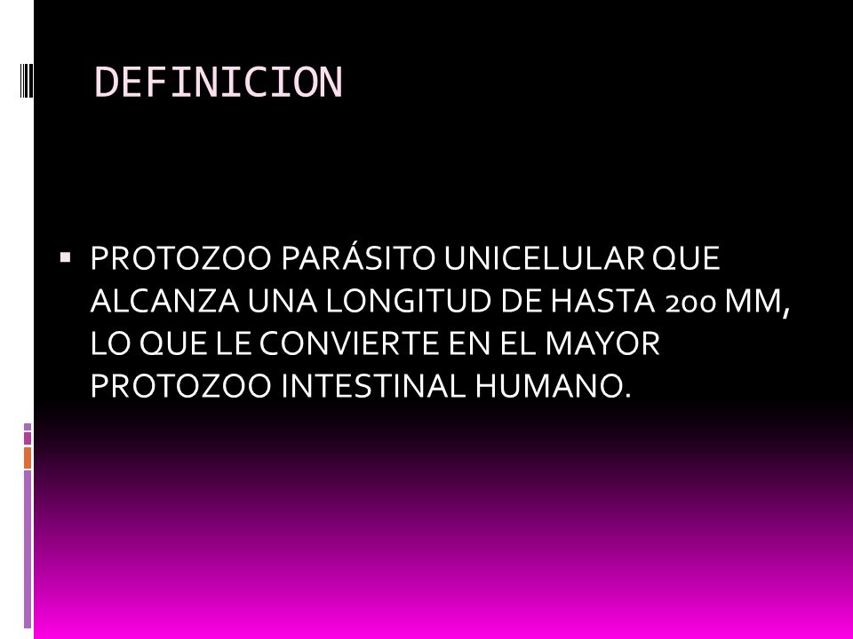 DEFINICION PROTOZOO PARÁSITO UNICELULAR QUE ALCANZA UNA LONGITUD DE HASTA 200 ΜM, LO QUE LE CONVIERTE EN EL MAYOR PROTOZOO INTESTINAL HUMANO.