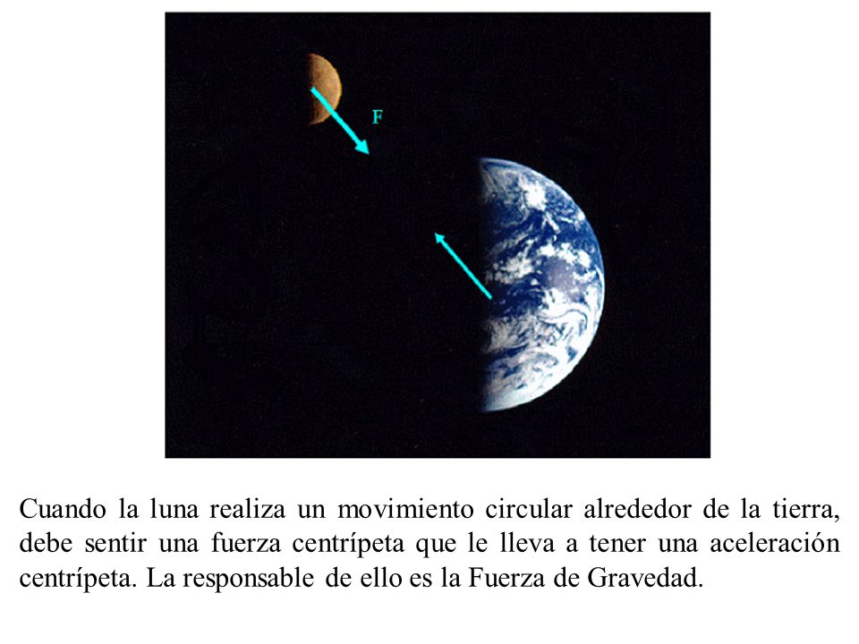 Cuando la luna realiza un movimiento circular alrededor de la tierra, debe sentir una fuerza centrípeta que le lleva a tener una aceleración centrípeta.