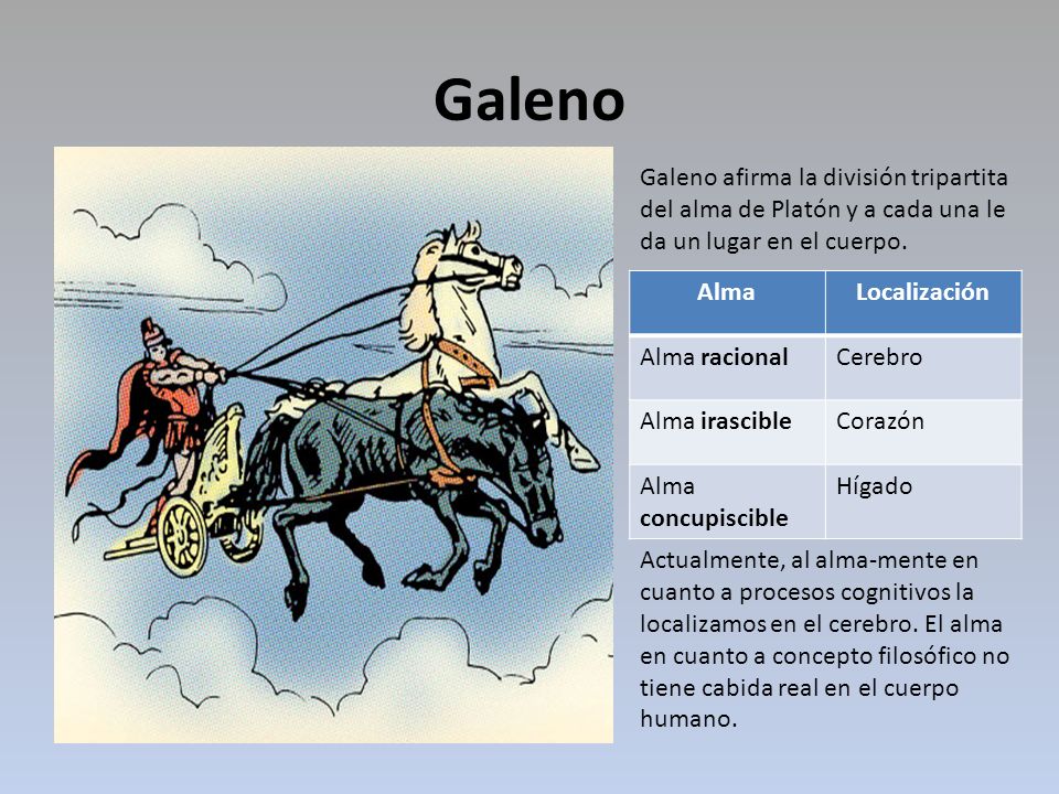Galeno Galeno afirma la división tripartita del alma de Platón y a cada una le da un lugar en el cuerpo.