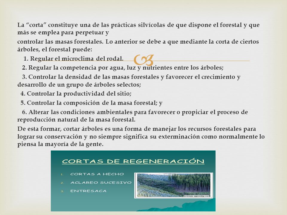 La corta constituye una de las prácticas silvícolas de que dispone el forestal y que más se emplea para perpetuar y controlar las masas forestales.