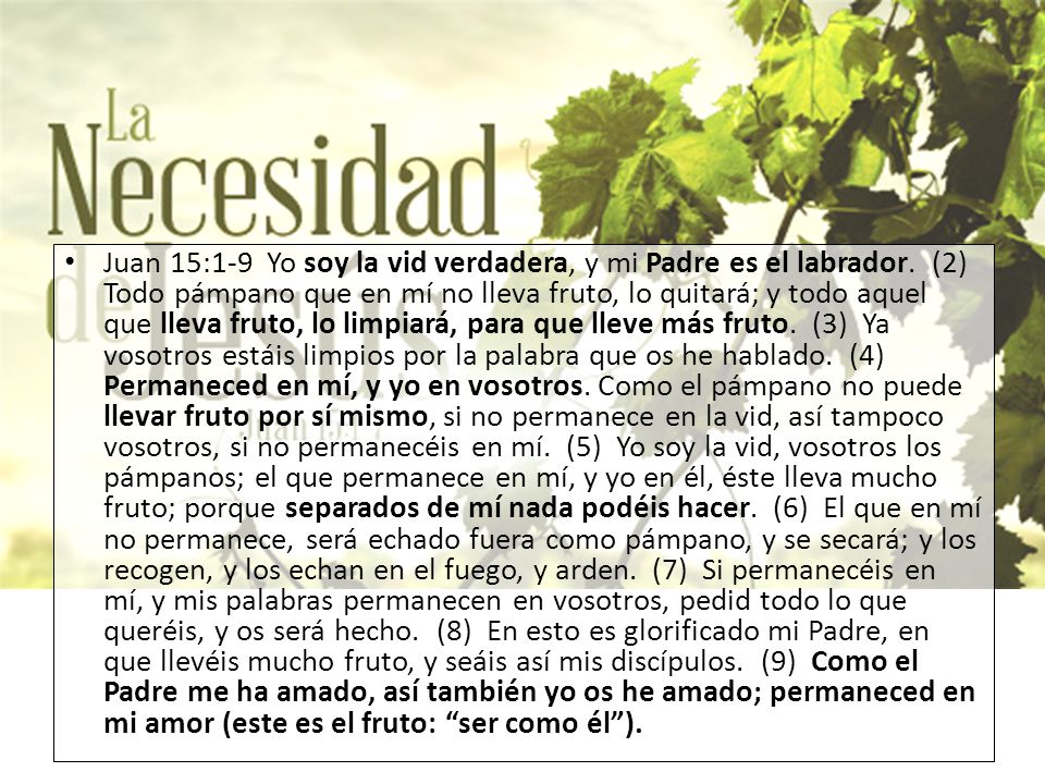 Juan 15:1-9 Yo soy la vid verdadera, y mi Padre es el labrador