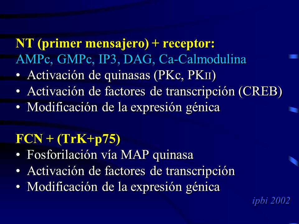 NT (primer mensajero) + receptor: AMPc, GMPc, IP3, DAG, Ca-Calmodulina