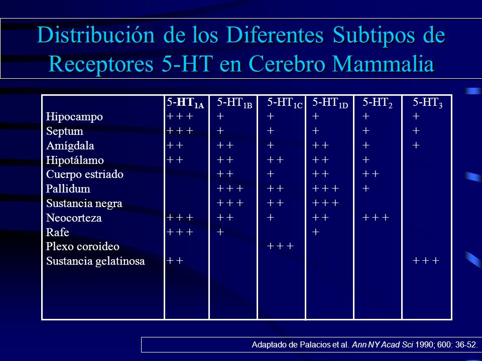 Distribución de los Diferentes Subtipos de Receptores 5-HT en Cerebro Mammalia
