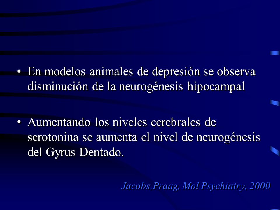 En modelos animales de depresión se observa disminución de la neurogénesis hipocampal