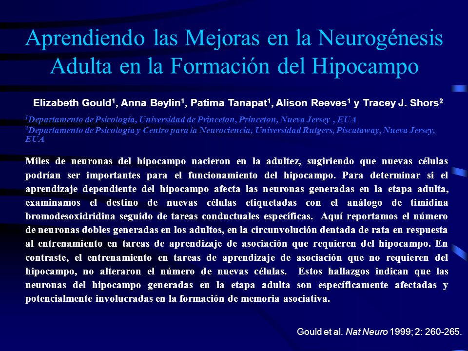 Aprendiendo las Mejoras en la Neurogénesis Adulta en la Formación del Hipocampo