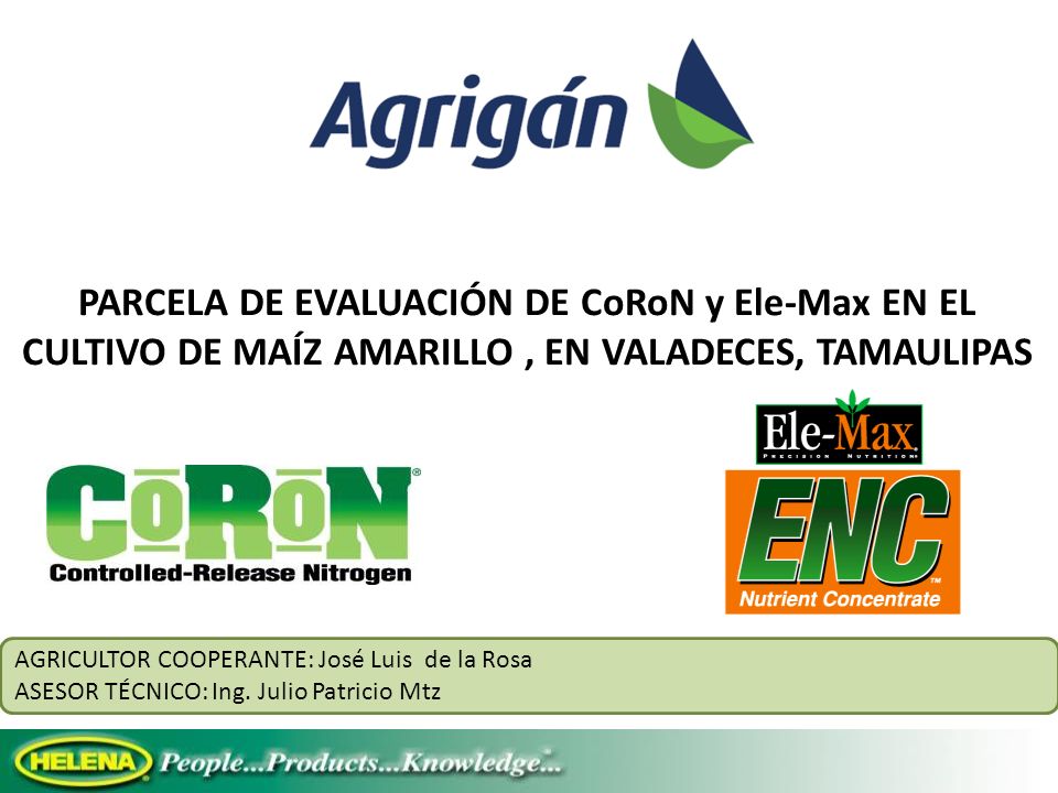 PARCELA DE EVALUACIÓN DE CoRoN y Ele-Max EN EL CULTIVO DE MAÍZ AMARILLO , EN VALADECES, TAMAULIPAS