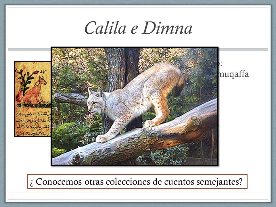 Calila e Dimna El largo camino de un texto: Panchatantra (III a.c.) y Almuqaffa (s.VIII) Fábulas de Esopo s.VI a.c.