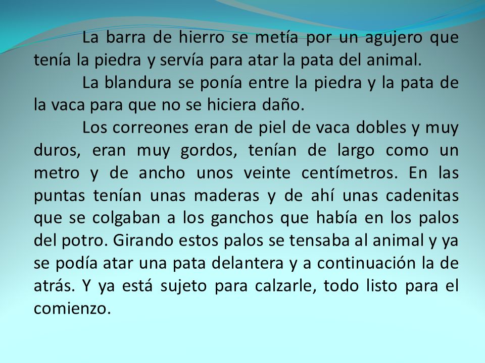 La barra de hierro se metía por un agujero que tenía la piedra y servía para atar la pata del animal.