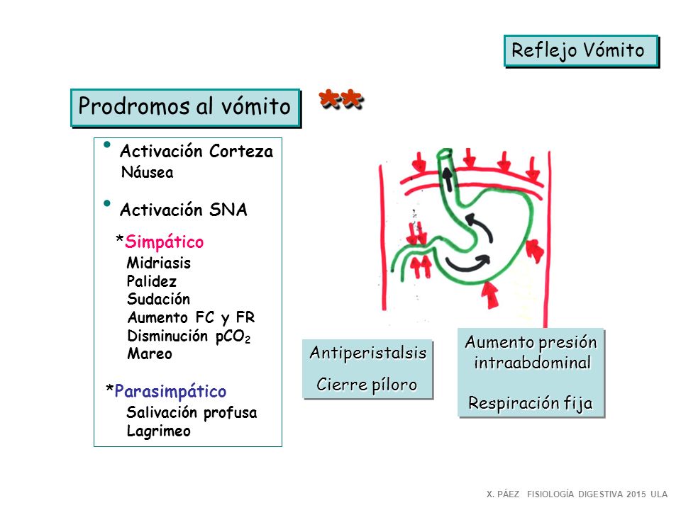** Prodromos al vómito Reflejo Vómito Activación Corteza Náusea