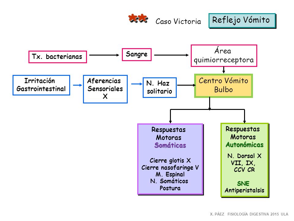 ** Reflejo Vómito Caso Victoria Área quimiorreceptora Centro Vómito