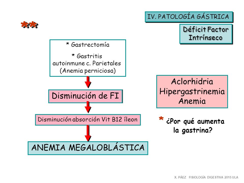 * * * ¿Por qué aumenta Aclorhidria Hipergastrinemia Anemia