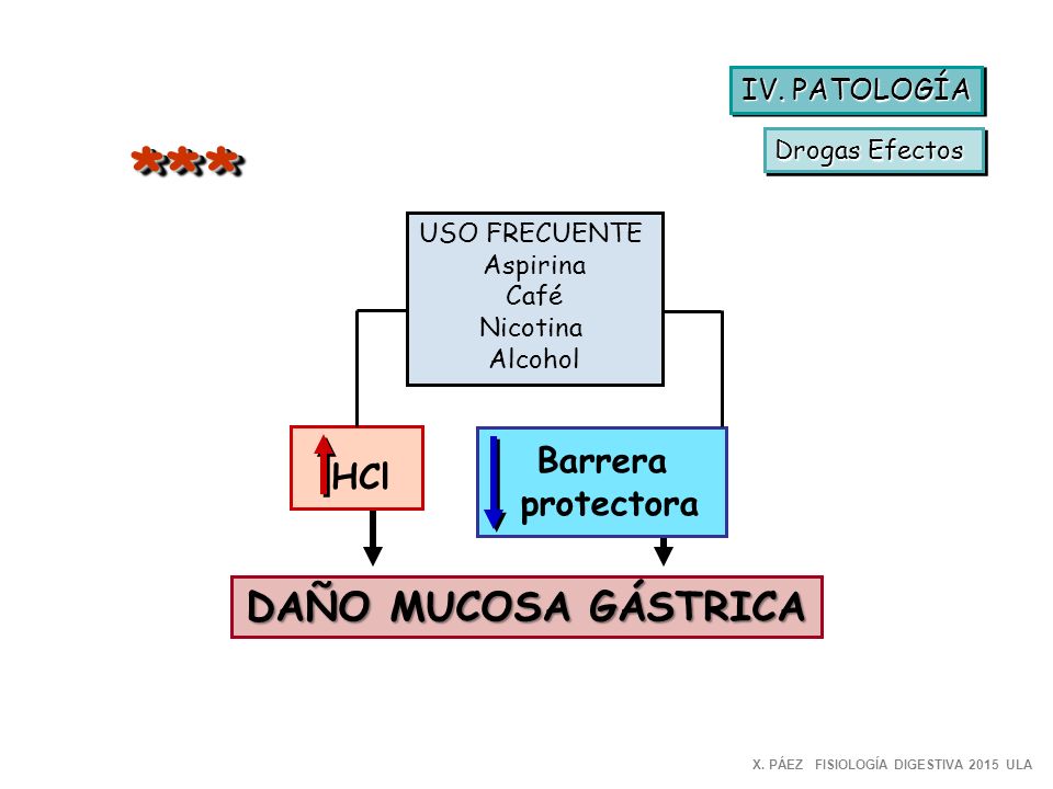 * * * DAÑO MUCOSA GÁSTRICA Barrera HCl protectora IV. PATOLOGÍA