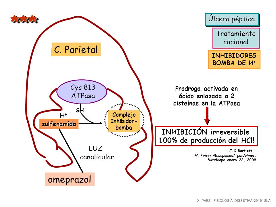 *** C. Parietal omeprazol Úlcera péptica Tratamiento racional Cys 813