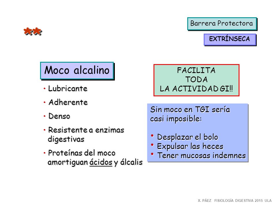 ** Moco alcalino FACILITA TODA LA ACTIVIDAD GI!! Lubricante Adherente