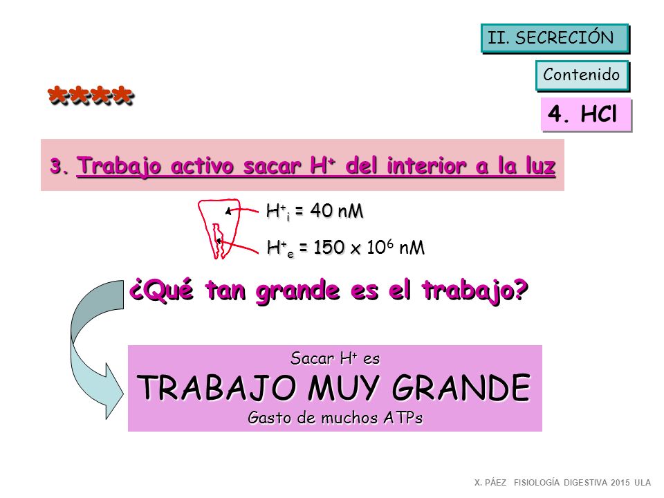 **** TRABAJO MUY GRANDE ¿Qué tan grande es el trabajo 4. HCl
