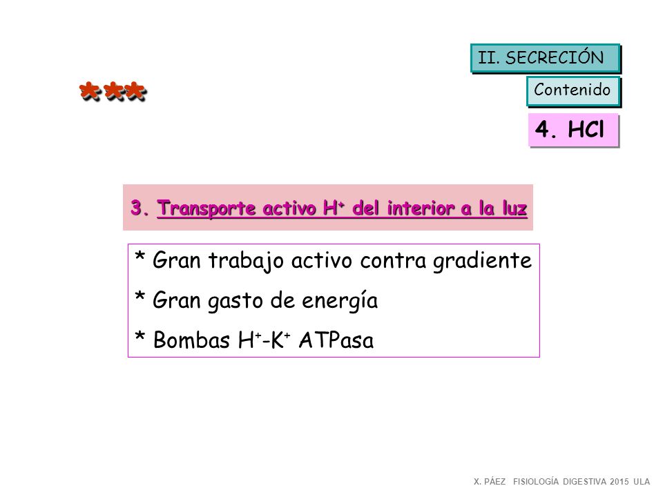 3. Transporte activo H+ del interior a la luz