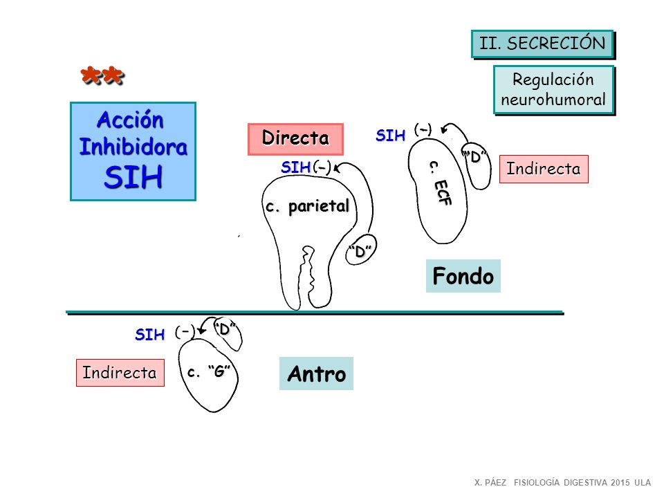 ** SIH Acción Inhibidora Fondo Antro Directa II. SECRECIÓN Regulación