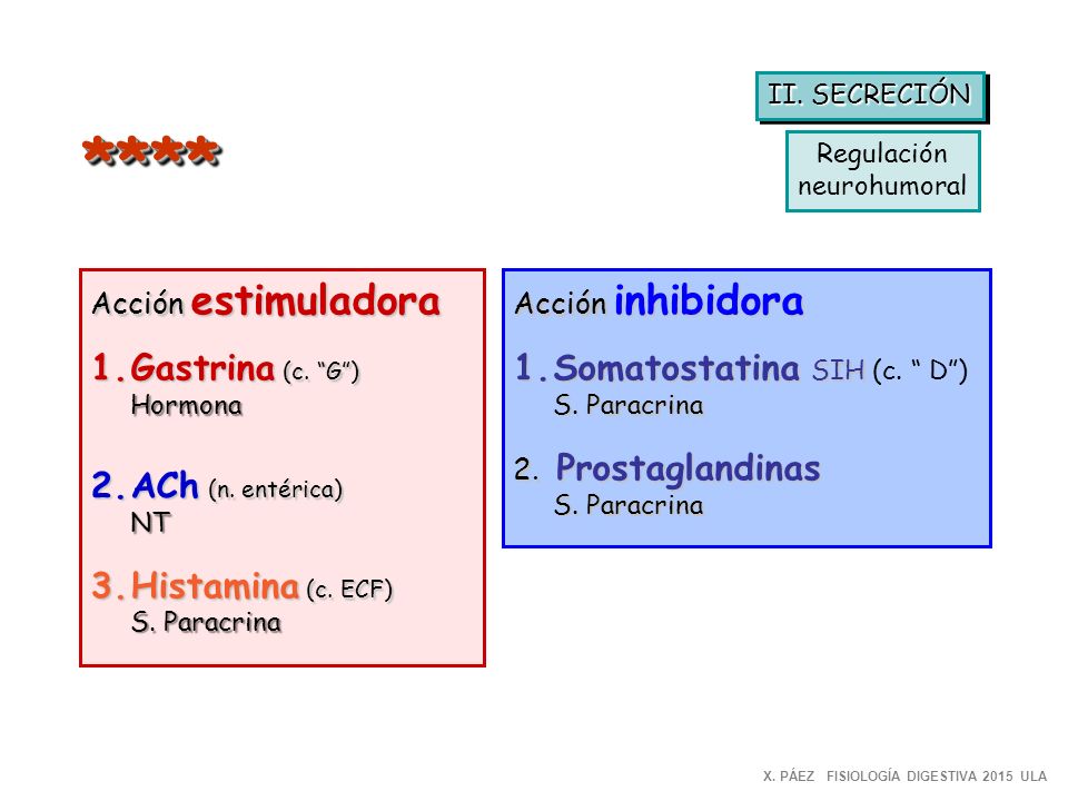 **** Gastrina (c. G ) ACh (n. entérica) Histamina (c. ECF)