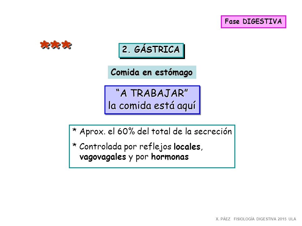 * * * A TRABAJAR la comida está aquí 2. GÁSTRICA Comida en estómago