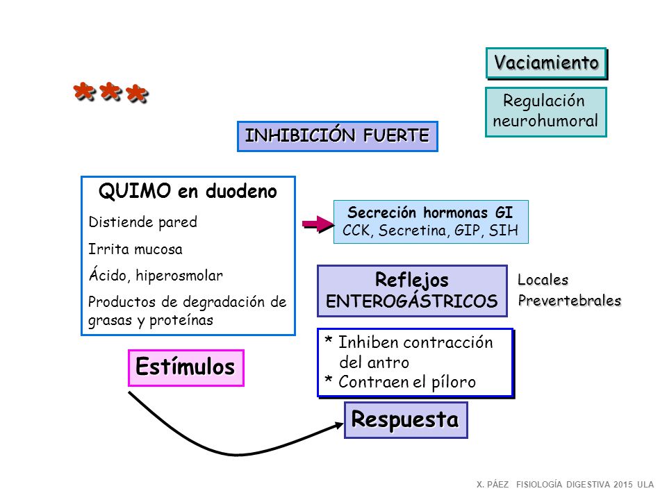* * * Estímulos Respuesta Vaciamiento QUIMO en duodeno Reflejos