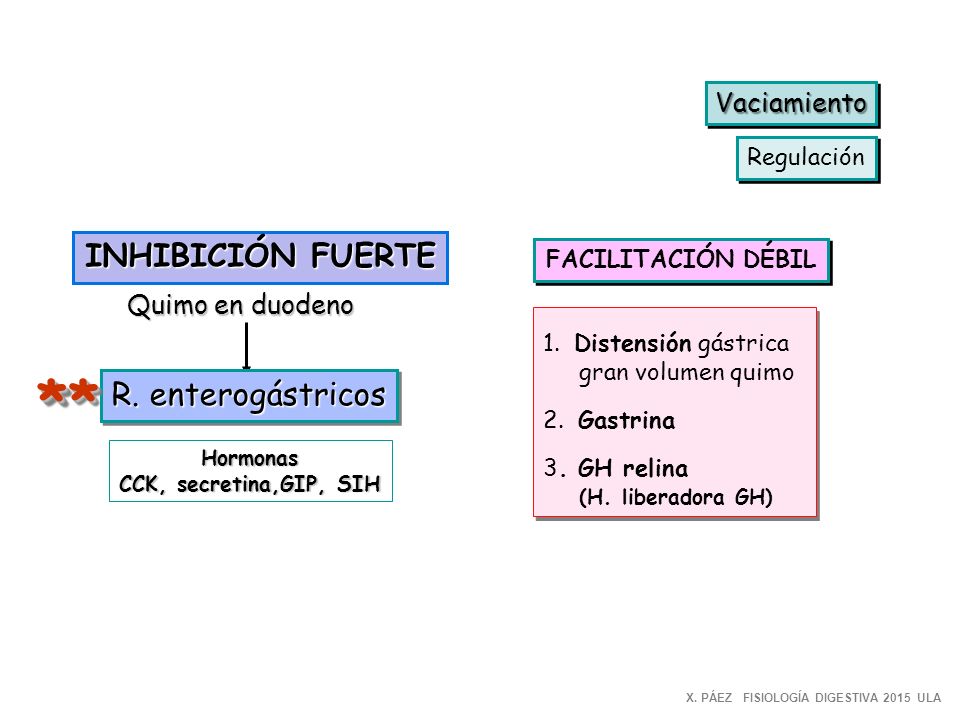 * * INHIBICIÓN FUERTE R. enterogástricos Vaciamiento Quimo en duodeno