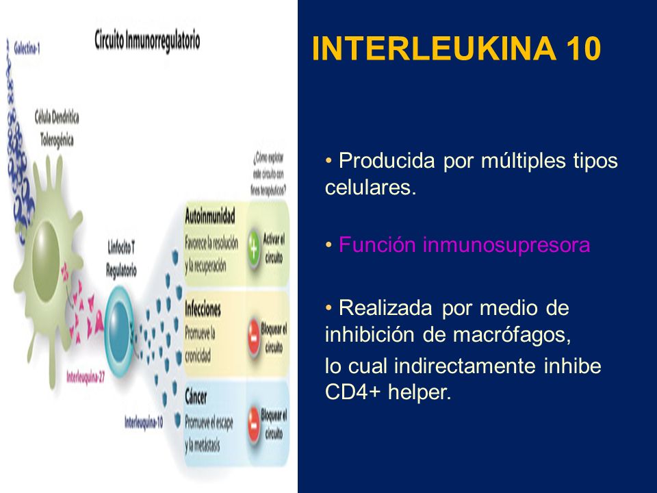 INTERLEUKINA 10 Producida por múltiples tipos celulares.