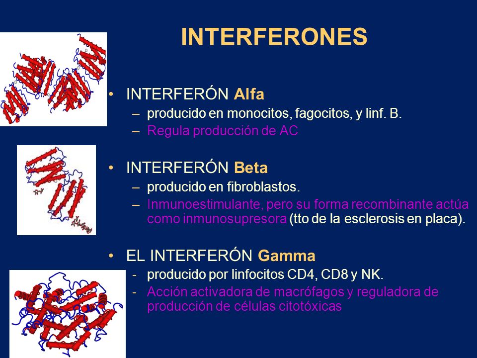 INTERFERONES INTERFERÓN Alfa INTERFERÓN Beta EL INTERFERÓN Gamma
