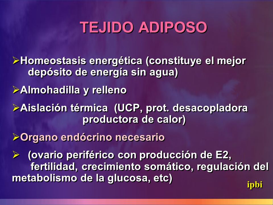 4/25/2017 TEJIDO ADIPOSO. Homeostasis energética (constituye el mejor depósito de energía sin agua)