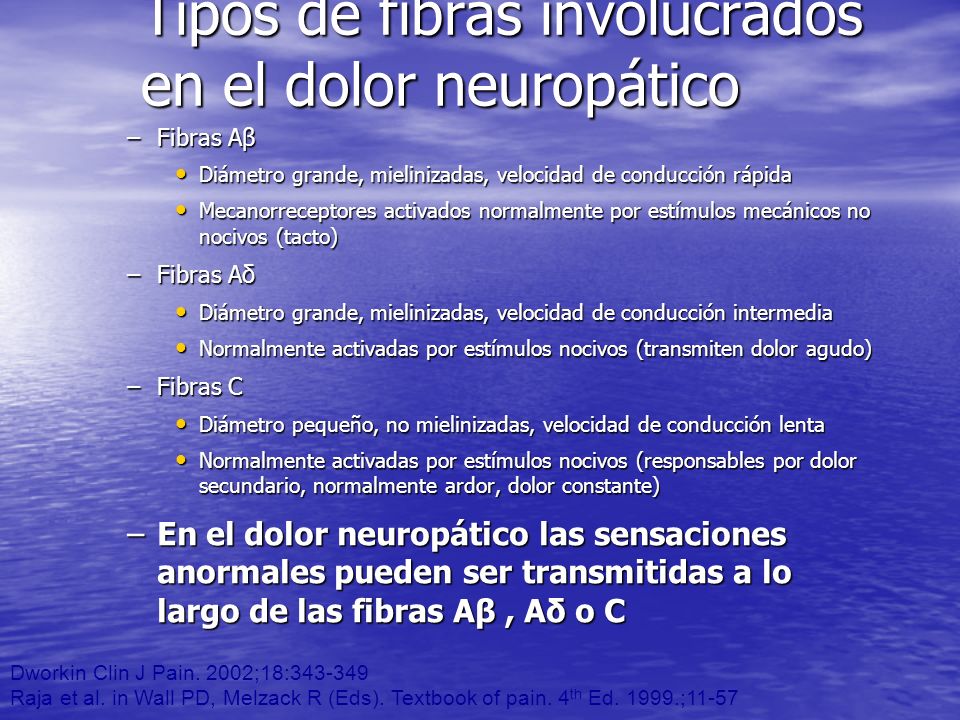 Tipos de fibras involucrados en el dolor neuropático