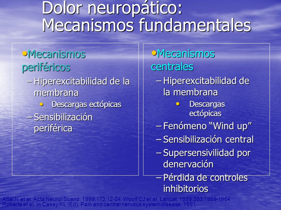 Dolor neuropático: Mecanismos fundamentales