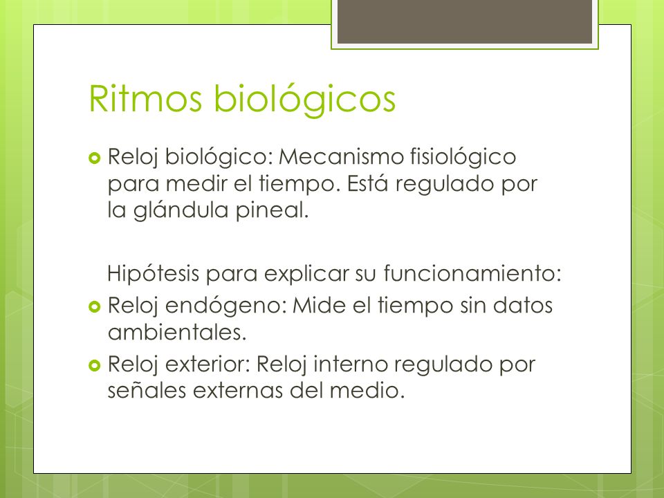 Ritmos biológicos Reloj biológico: Mecanismo fisiológico para medir el tiempo. Está regulado por la glándula pineal.