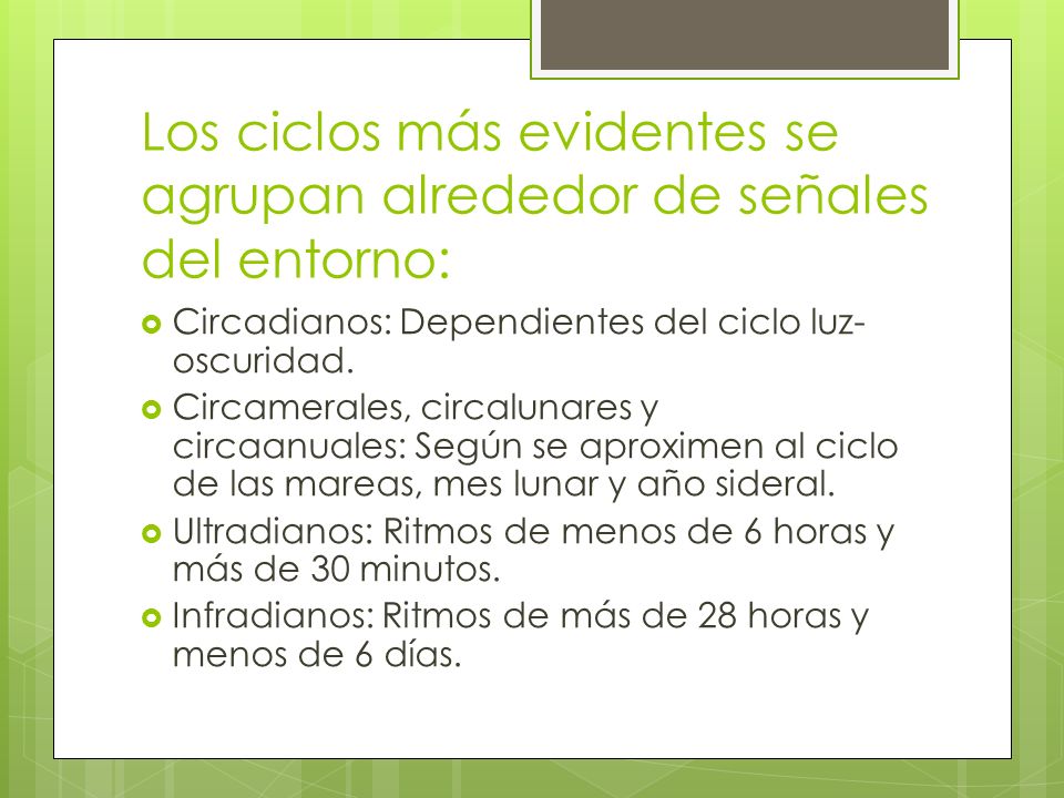 Los ciclos más evidentes se agrupan alrededor de señales del entorno: