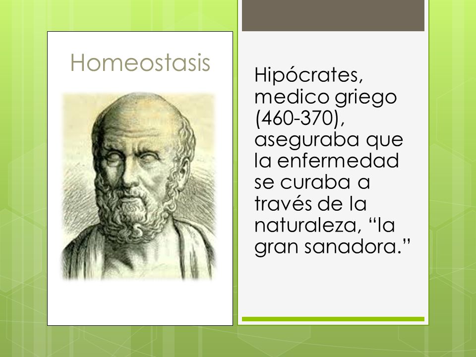 Homeostasis Hipócrates, medico griego ( ), aseguraba que la enfermedad se curaba a través de la naturaleza, la gran sanadora.