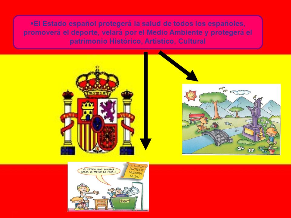 El Estado español protegerá la salud de todos los españoles, promoverá el deporte, velará por el Medio Ambiente y protegerá el patrimonio Histórico, Artístico, Cultural