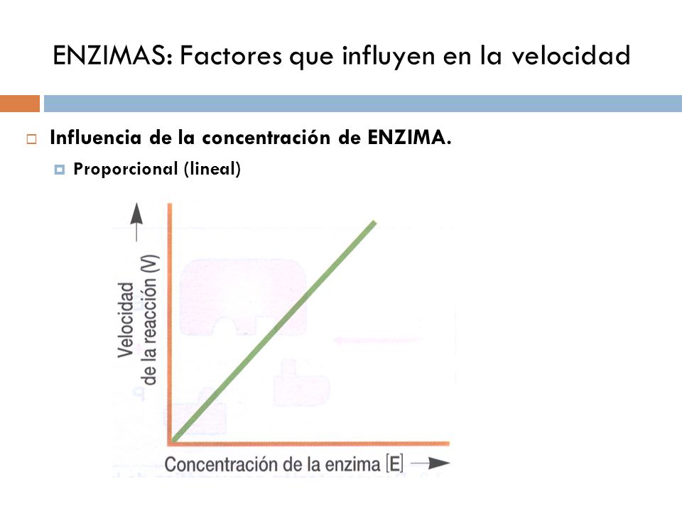 ENZIMAS: Factores que influyen en la velocidad