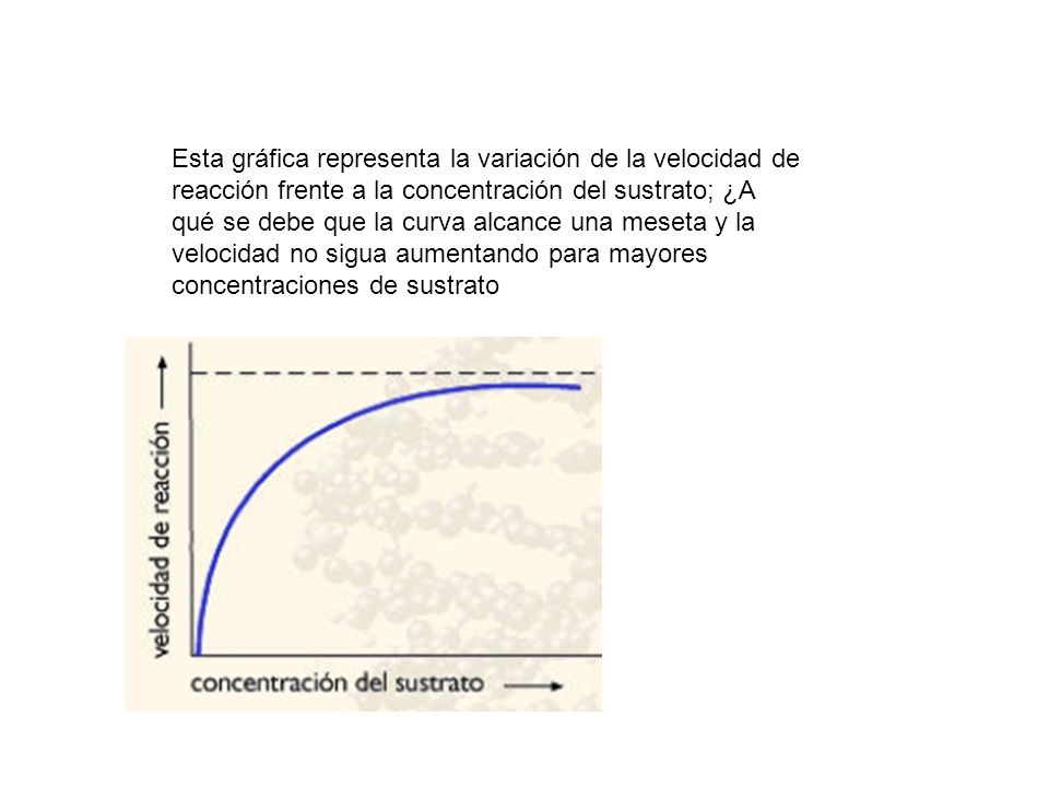 Esta gráfica representa la variación de la velocidad de reacción frente a la concentración del sustrato; ¿A