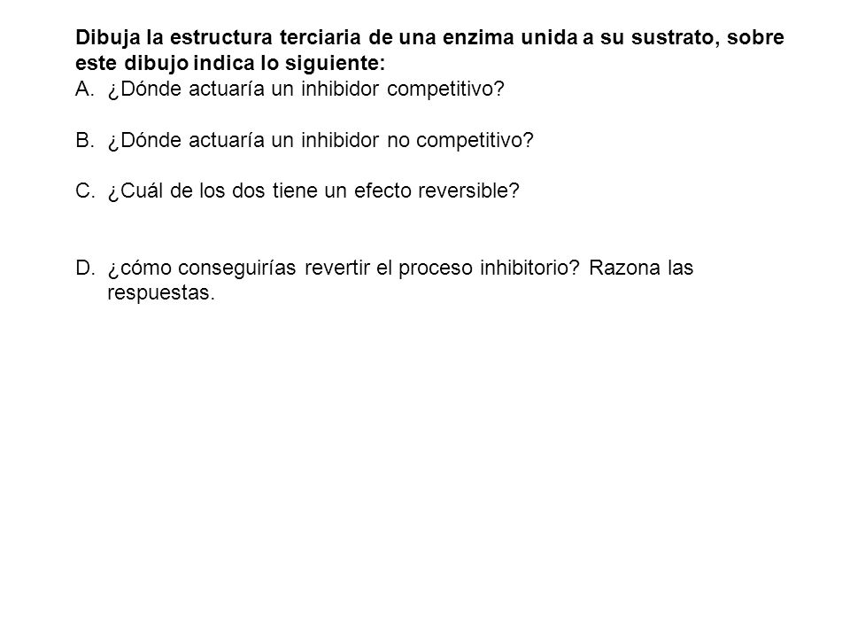 Dibuja la estructura terciaria de una enzima unida a su sustrato, sobre este dibujo indica lo siguiente: