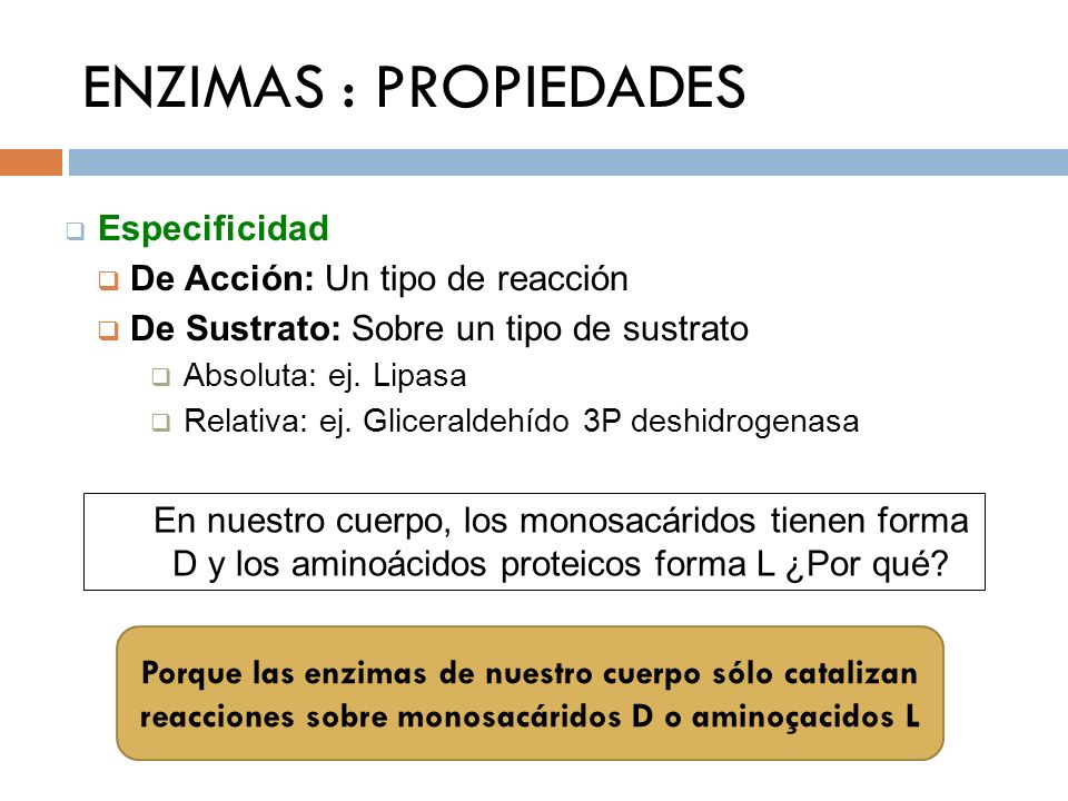 ENZIMAS : PROPIEDADES Especificidad De Acción: Un tipo de reacción