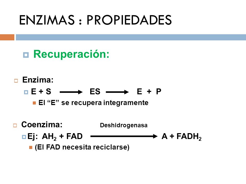 ENZIMAS : PROPIEDADES Recuperación: Enzima: E + S ES E + P