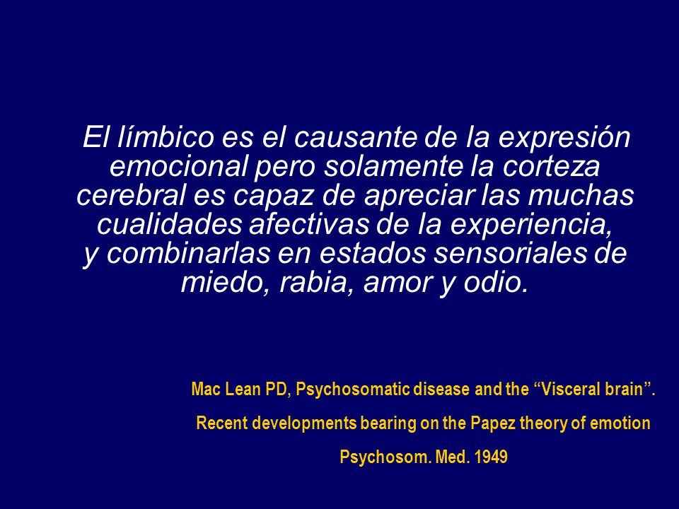 El límbico es el causante de la expresión emocional pero solamente la corteza cerebral es capaz de apreciar las muchas cualidades afectivas de la experiencia, y combinarlas en estados sensoriales de miedo, rabia, amor y odio.