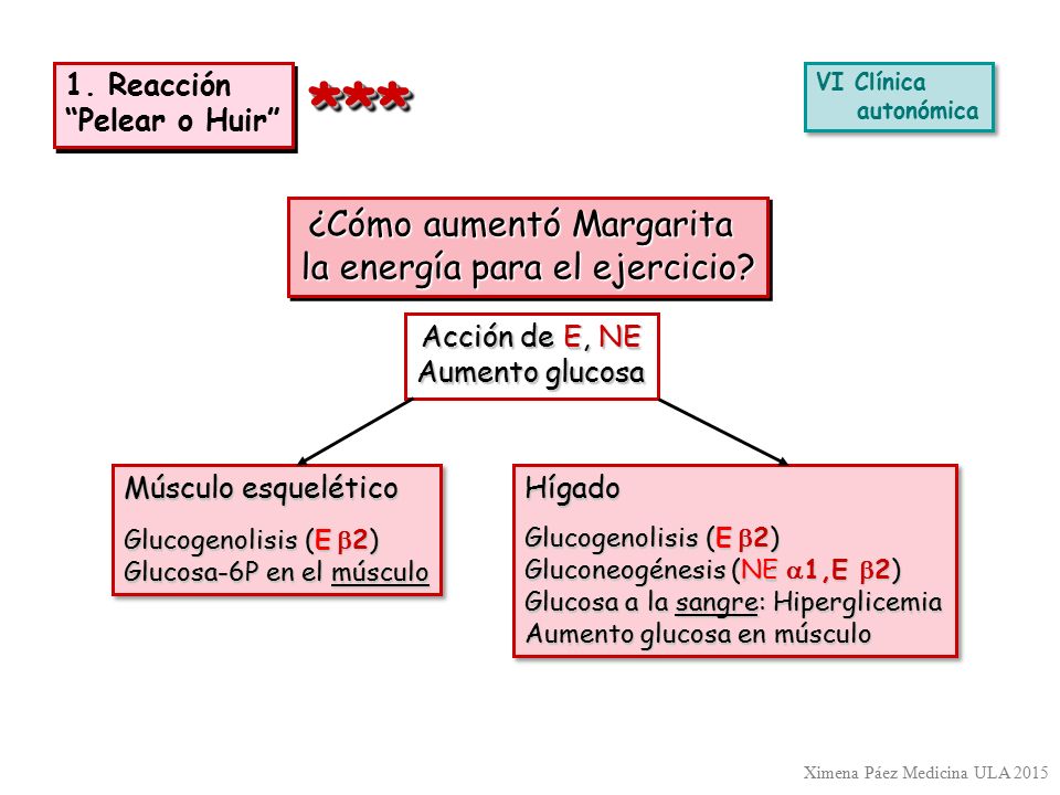 *** ¿Cómo aumentó Margarita la energía para el ejercicio 1. Reacción