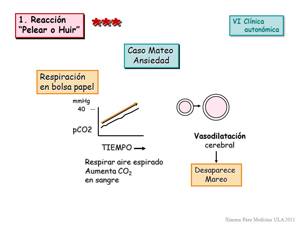 *** 1. Reacción Pelear o Huir Caso Mateo Ansiedad Respiración