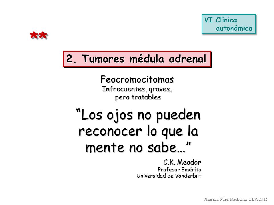 Los ojos no pueden reconocer lo que la mente no sabe…