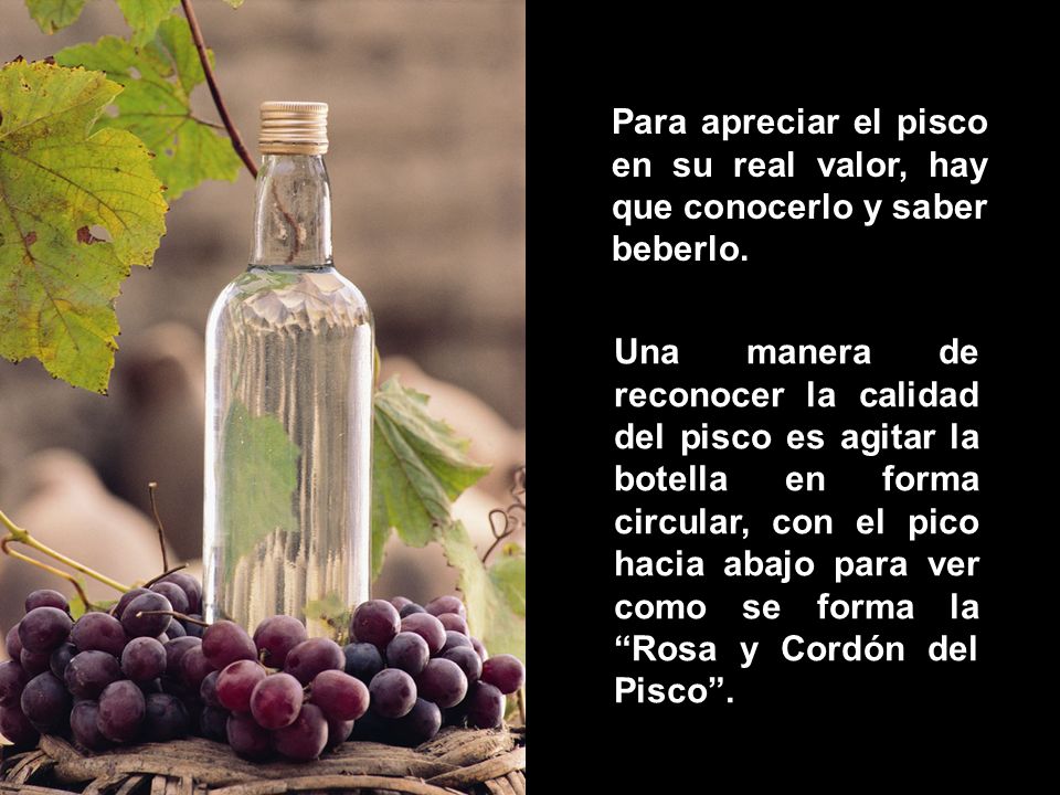 Para apreciar el pisco en su real valor, hay que conocerlo y saber beberlo.